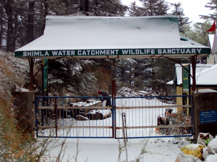 Water Catchment Sanctuary Shimla